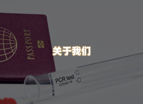 关于柔石学历排版网